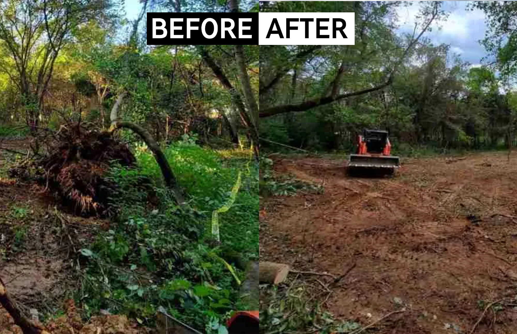 Land Clearing