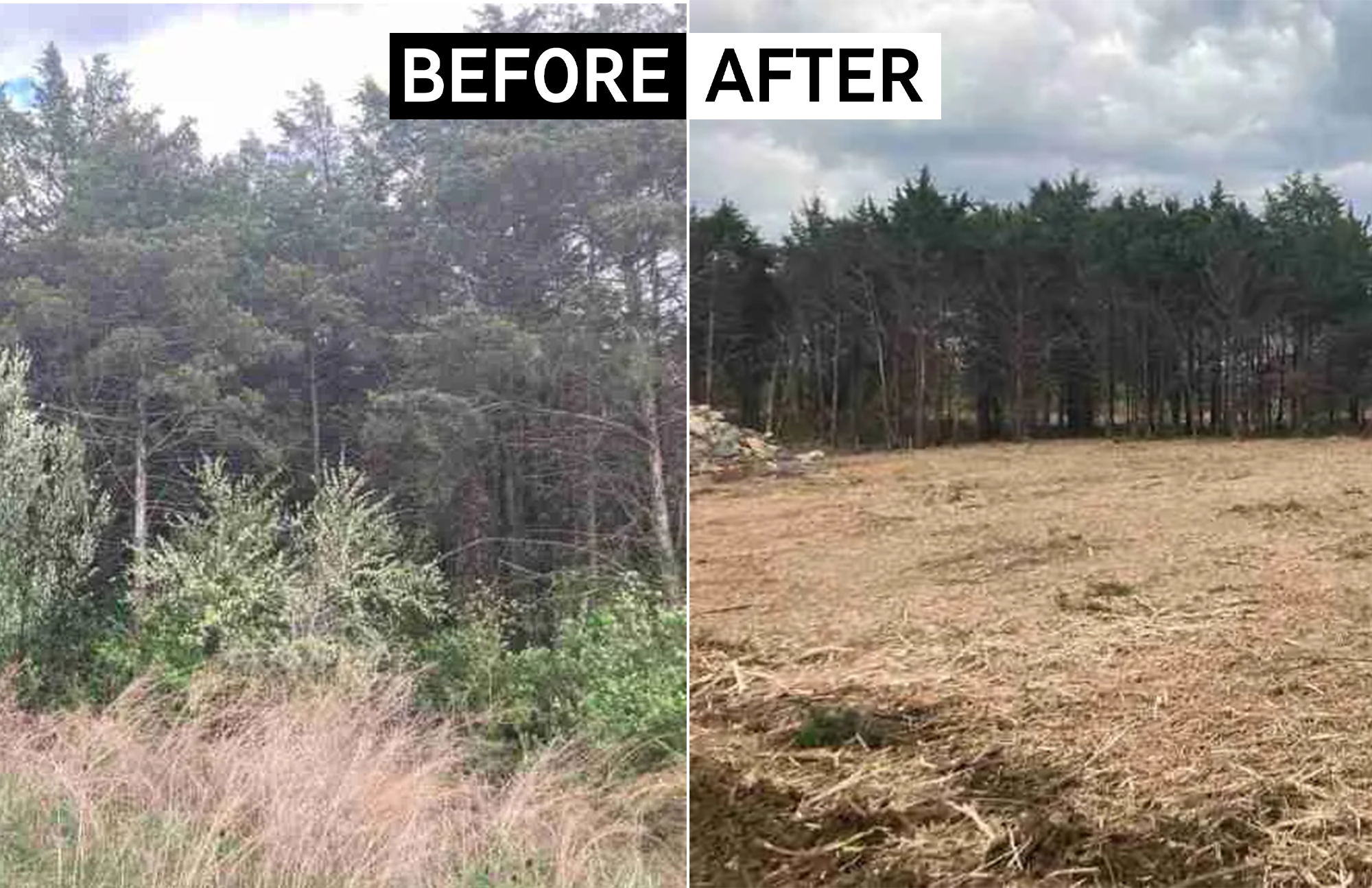 Forestry Mulching